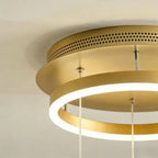 Modern Butterfly Chandelier - Metal and Acrylic Ceiling Light