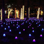 Premium Outdoor Mini Mushroom RGB Solar String Lights - 16.40 ft