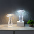Transparent Acrylic Table Lamps - Portable Decorative Lighting