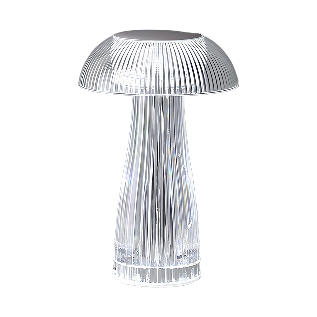 Transparent Acrylic Table Lamps - Portable Decorative Lighting