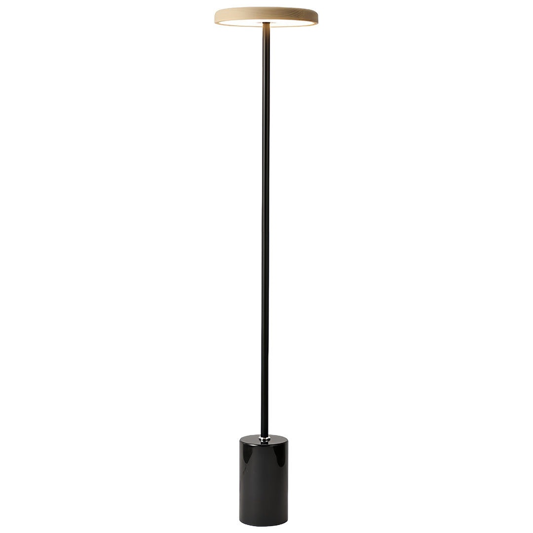 Modern Dimmable LED Minimalist Floor Lamp