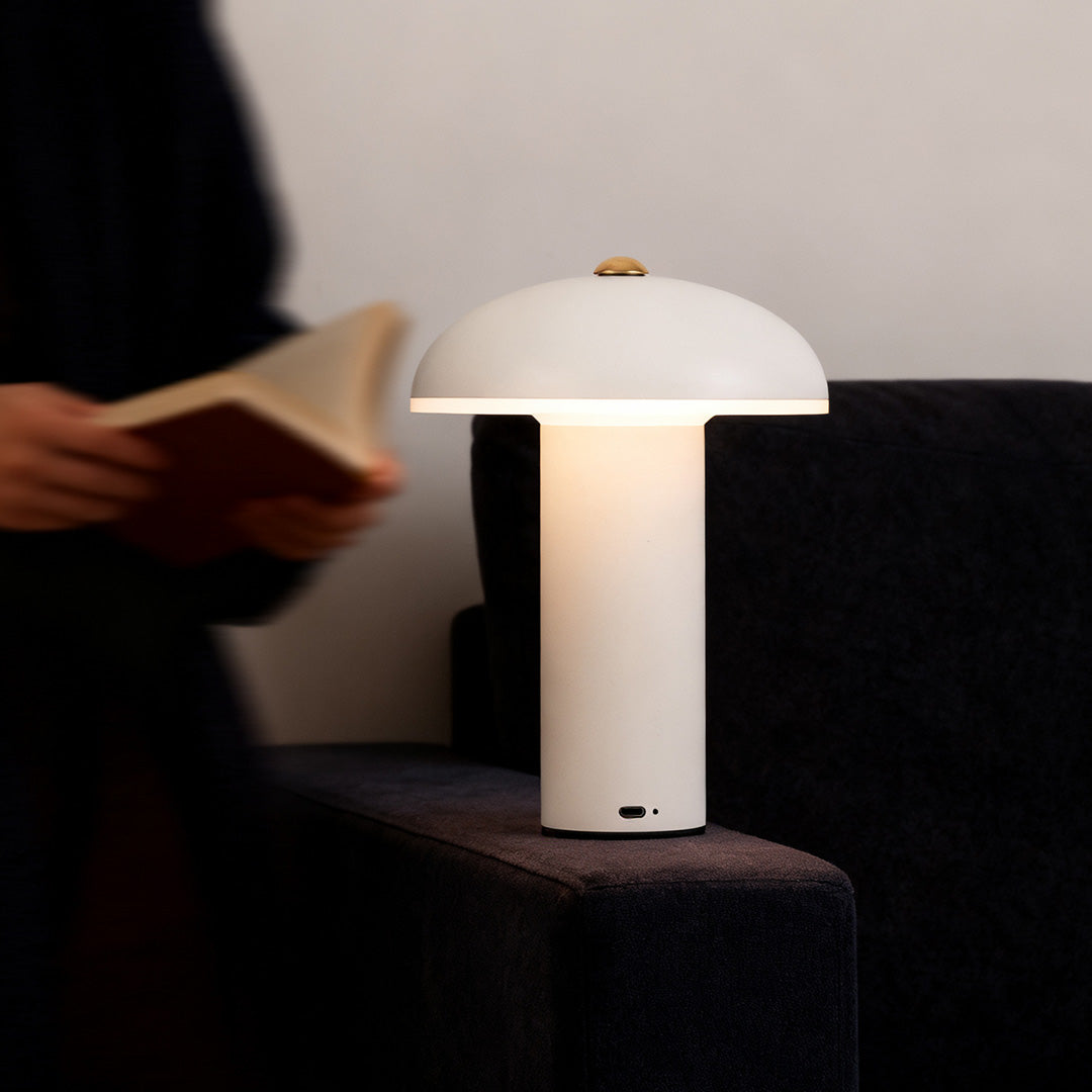 Dimmable LED Table Lamp - Elegant Iron and Acrylic Design