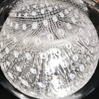Nordic Glass Jellyfish Pendant Light - Premium Ceiling Fixture