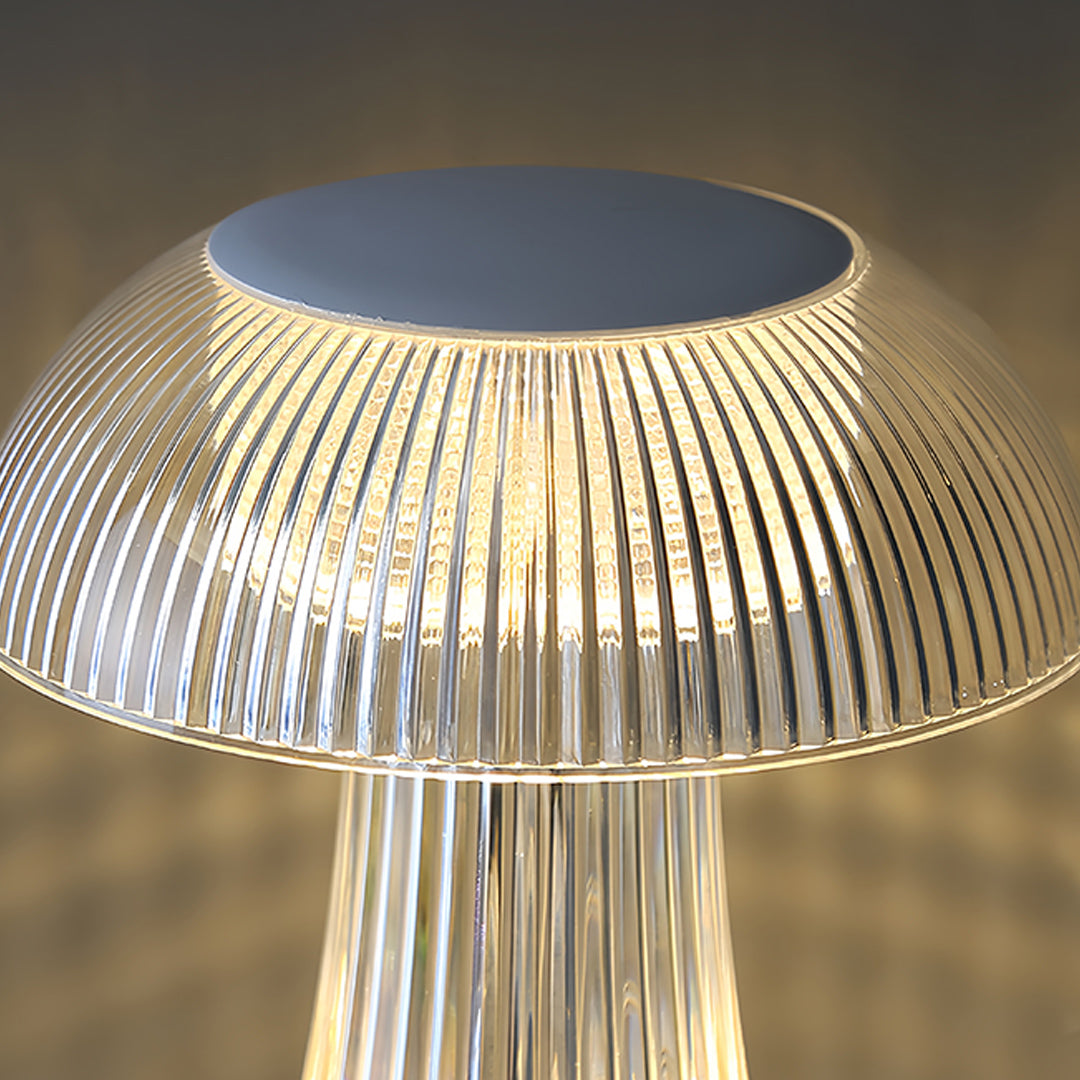 Transparent Acrylic Table Lamps - Portable Decorative Lighting