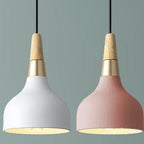 Modern Macaron Disc 1-Light Pendant Lamp