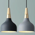 Modern Macaron Disc 1-Light Pendant Lamp