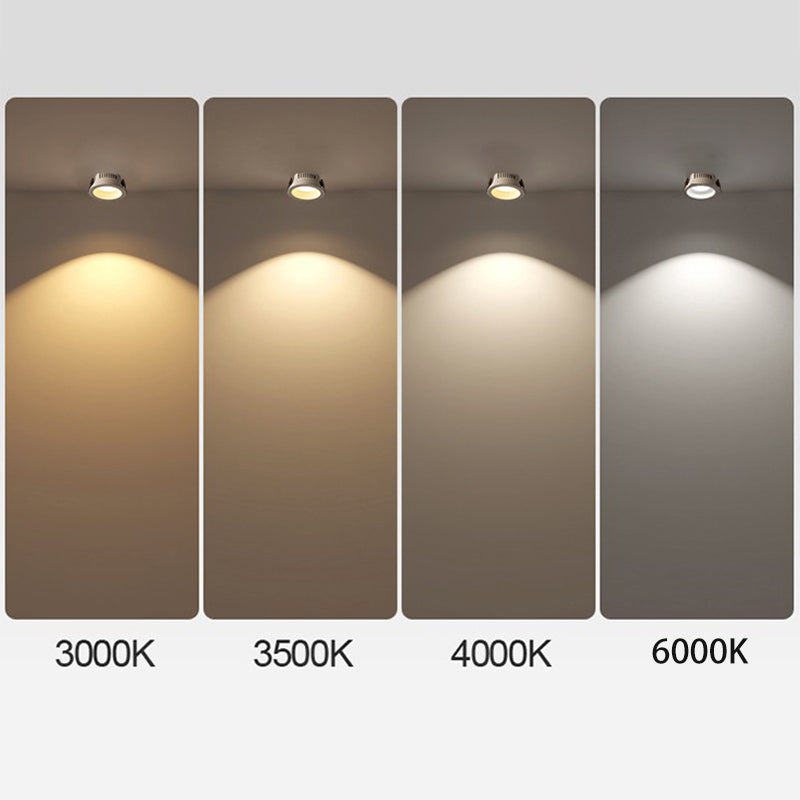 Adjustable LED Round Flush Mount Ceiling Light