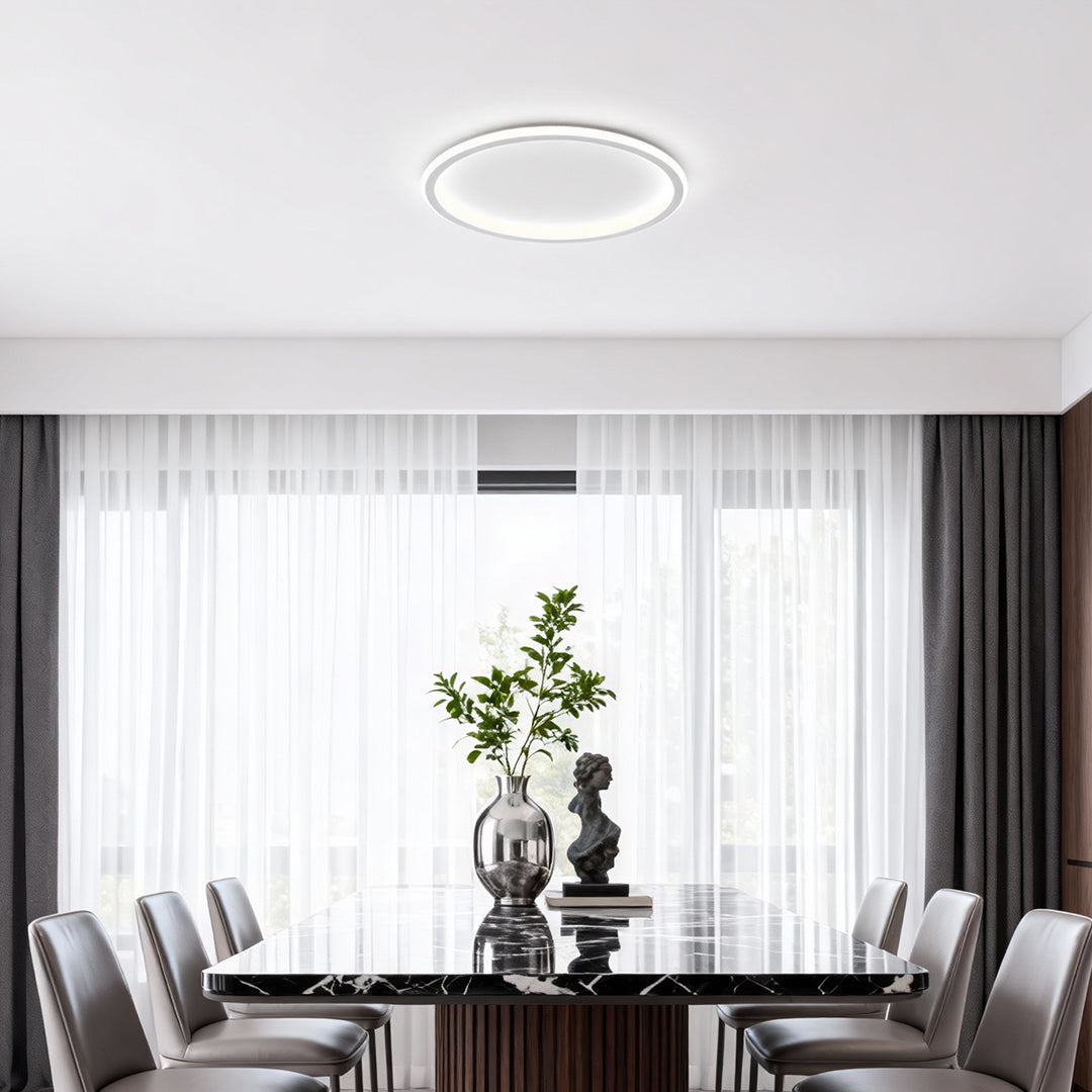 Modern LED Circular Ceiling Light - Acrylic & Metal Design