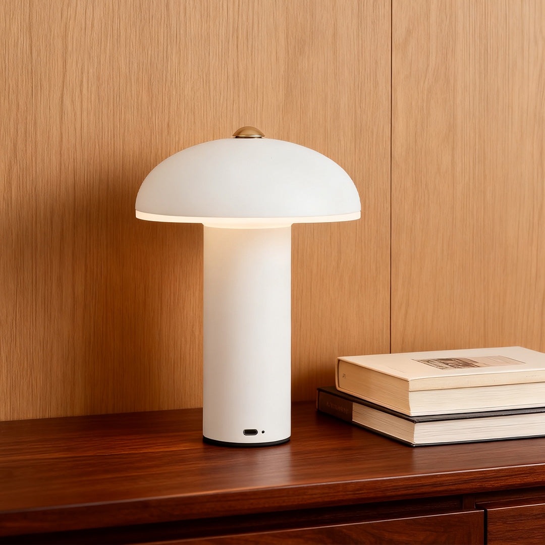 Dimmable LED Table Lamp - Elegant Iron and Acrylic Design