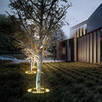 Premium Outdoor Waterproof LED Tree Ring Landscape Light