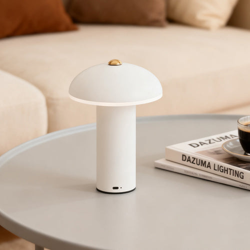 Dimmable LED Table Lamp - Elegant Iron and Acrylic Design