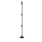 Premium RGB Rotating Floor Lamp with Remote Control and Spotlight