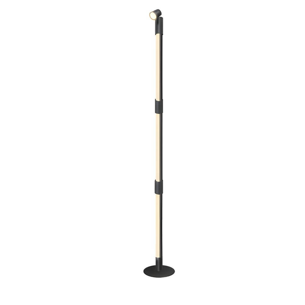 Premium RGB Rotating Floor Lamp with Remote Control and Spotlight