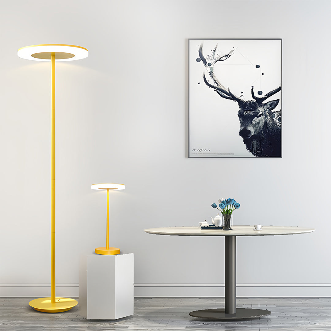 Modern Dimmable Macaron Round Head Floor Lamp