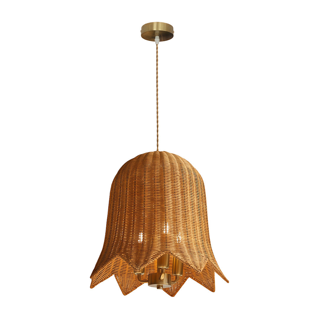 Artistic Rattan and Iron Hanging Pendant Light