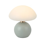 Premium Touch Control Acrylic Mushroom Lamp for Kids