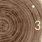 Farmhouse Wood Slice Tree Stump Wall Clock with LED Light