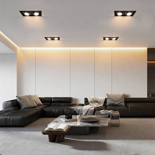 Adjustable Rectangular Twin Recessed Ceiling Spotlight