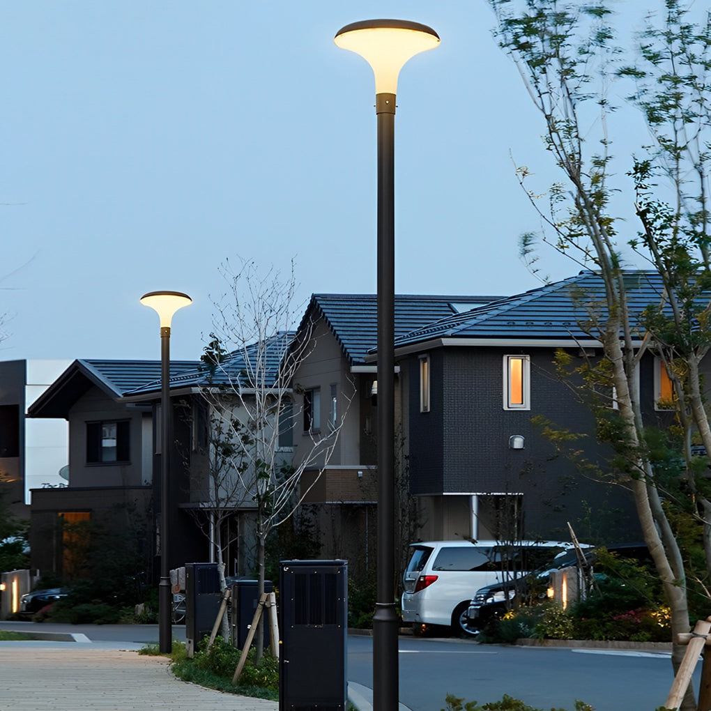 Premium Waterproof Solar LED Street Light - Black Pole Lamp