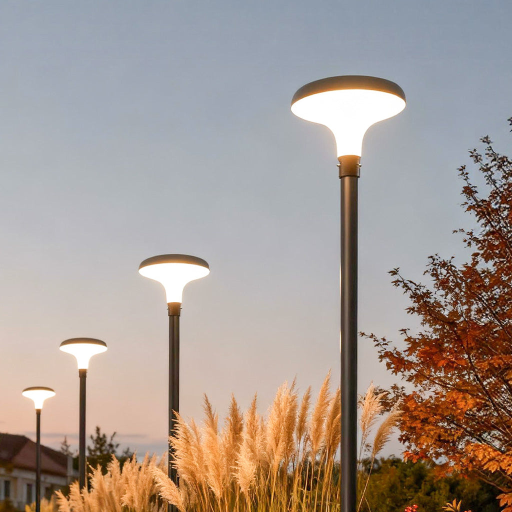 Premium Waterproof Solar LED Street Light - Black Pole Lamp