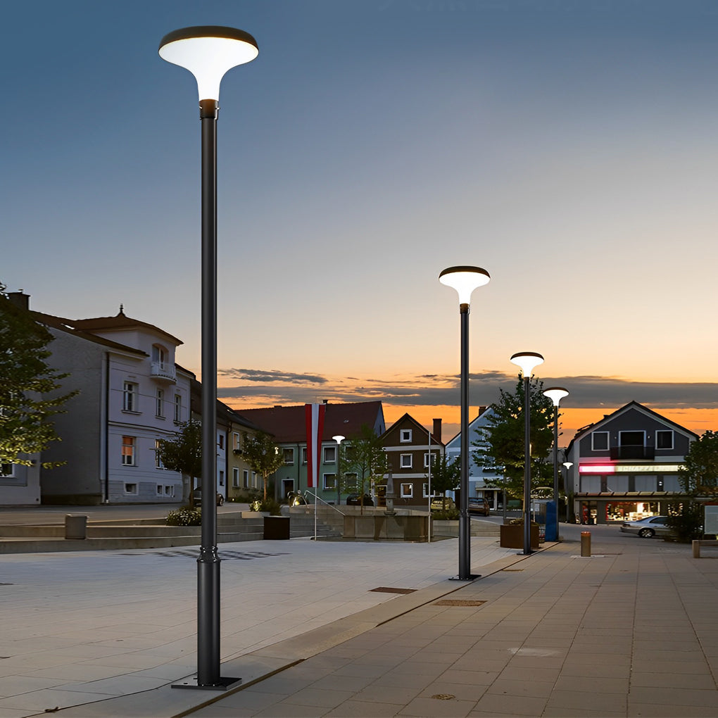 Premium Waterproof Solar LED Street Light - Black Pole Lamp