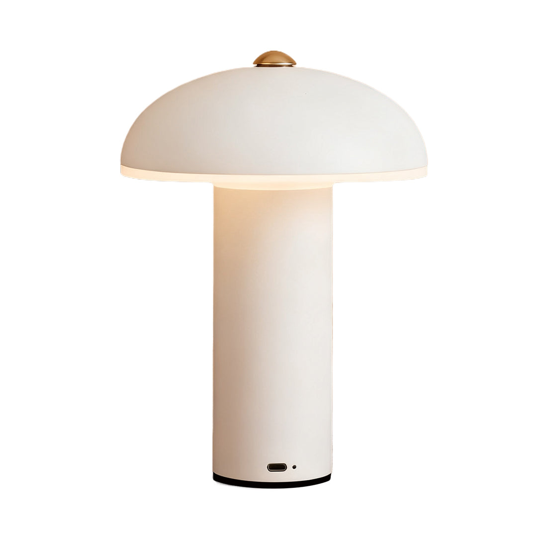 Dimmable LED Table Lamp - Elegant Iron and Acrylic Design